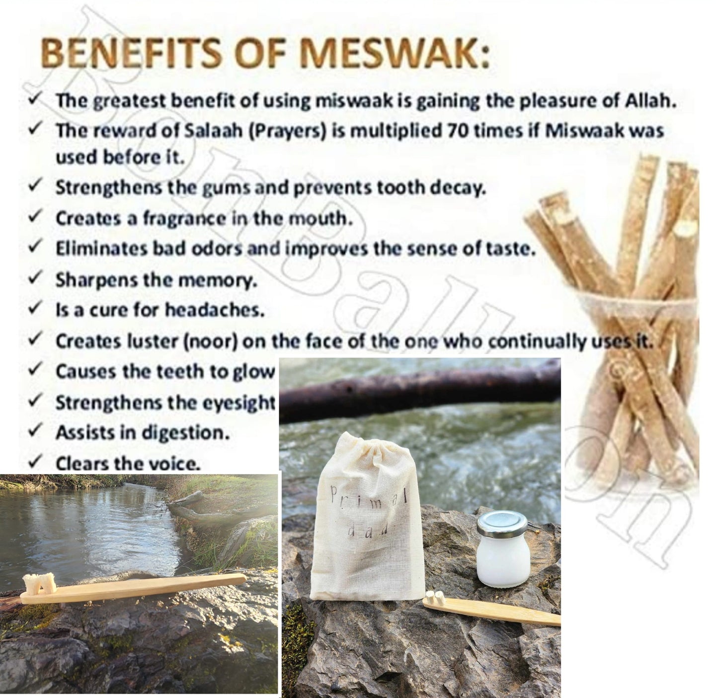 Miswak Toothbrush | 100% Natural - Biodegradable - 0 Plastic - 0 Waste - Eco friendly - Renewable